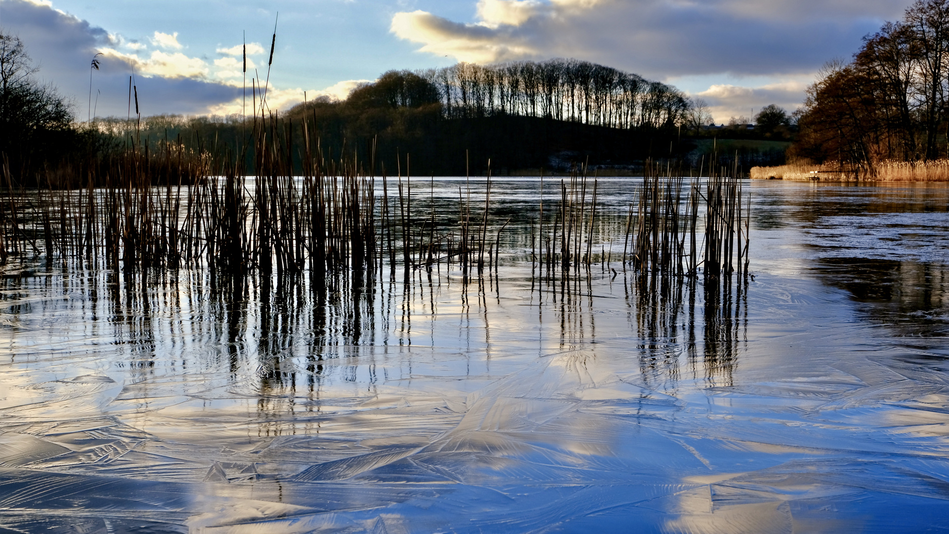 Niehuussee Harrislee