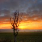 "Niemand kann einen Sonnenuntergang besitzen