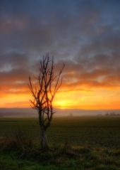 "Niemand kann einen Sonnenuntergang besitzen