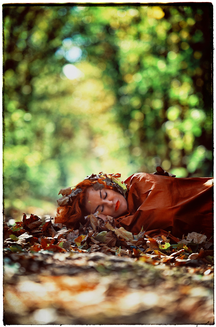 Niemand zeigt Vergänglichkeit schöner als der Herbst