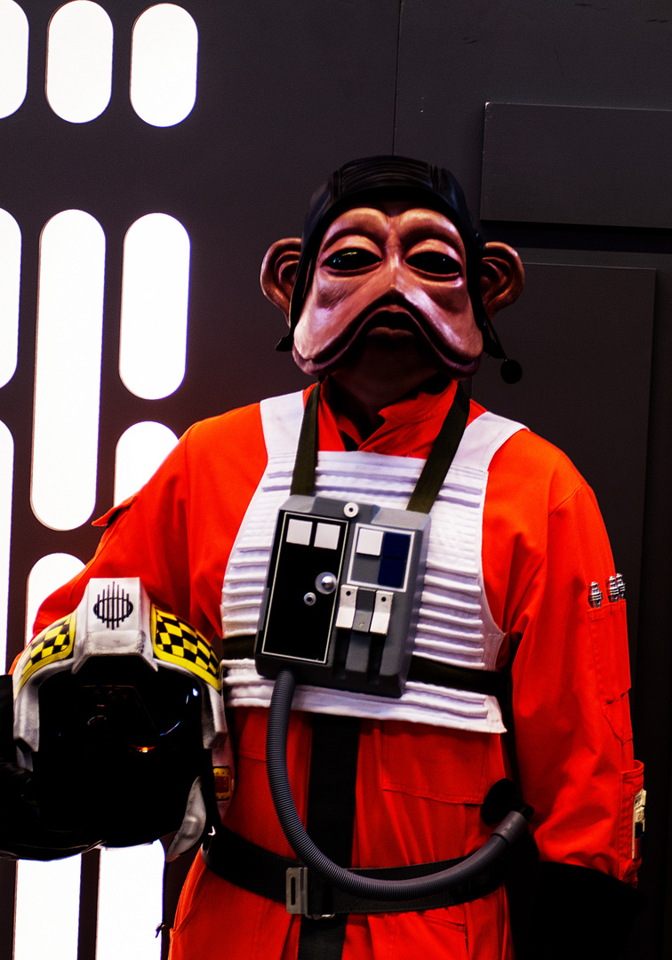 Nien Nunb der Rebellenpilot