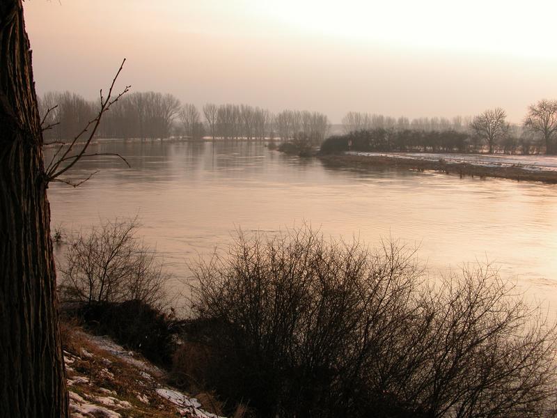 Nienburg/Weser bei Hochwasser