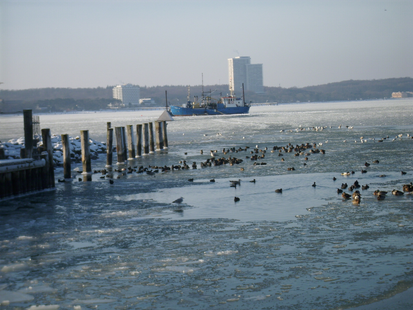 niendorf Ostsee