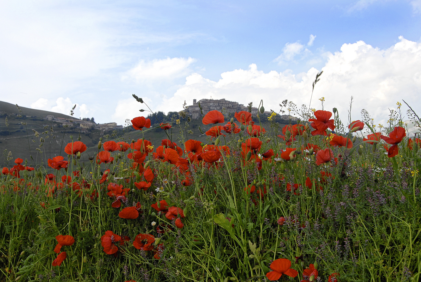 NIENTE PAPERE A CASTELLUCCIO