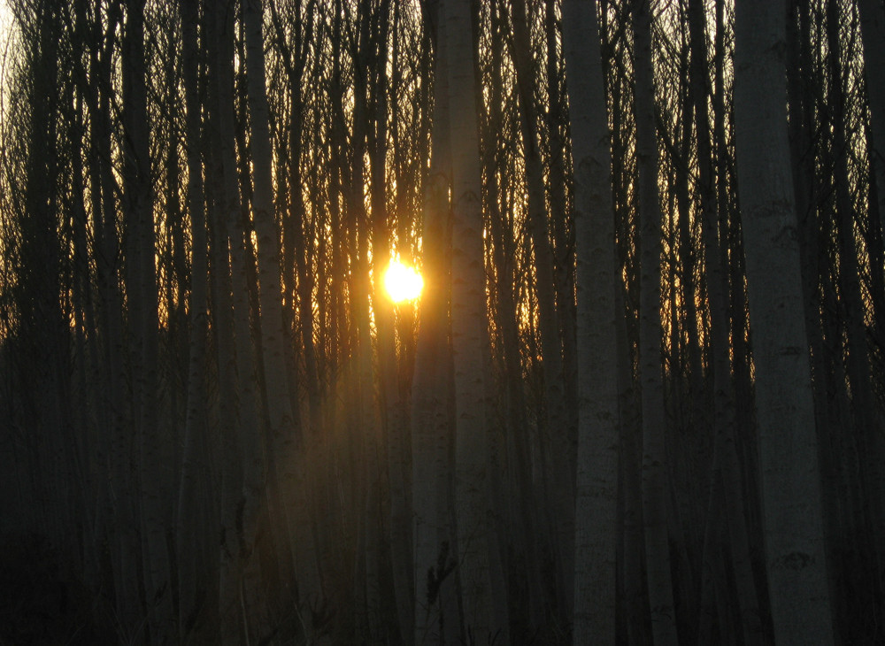 niente puo' annientare il sole