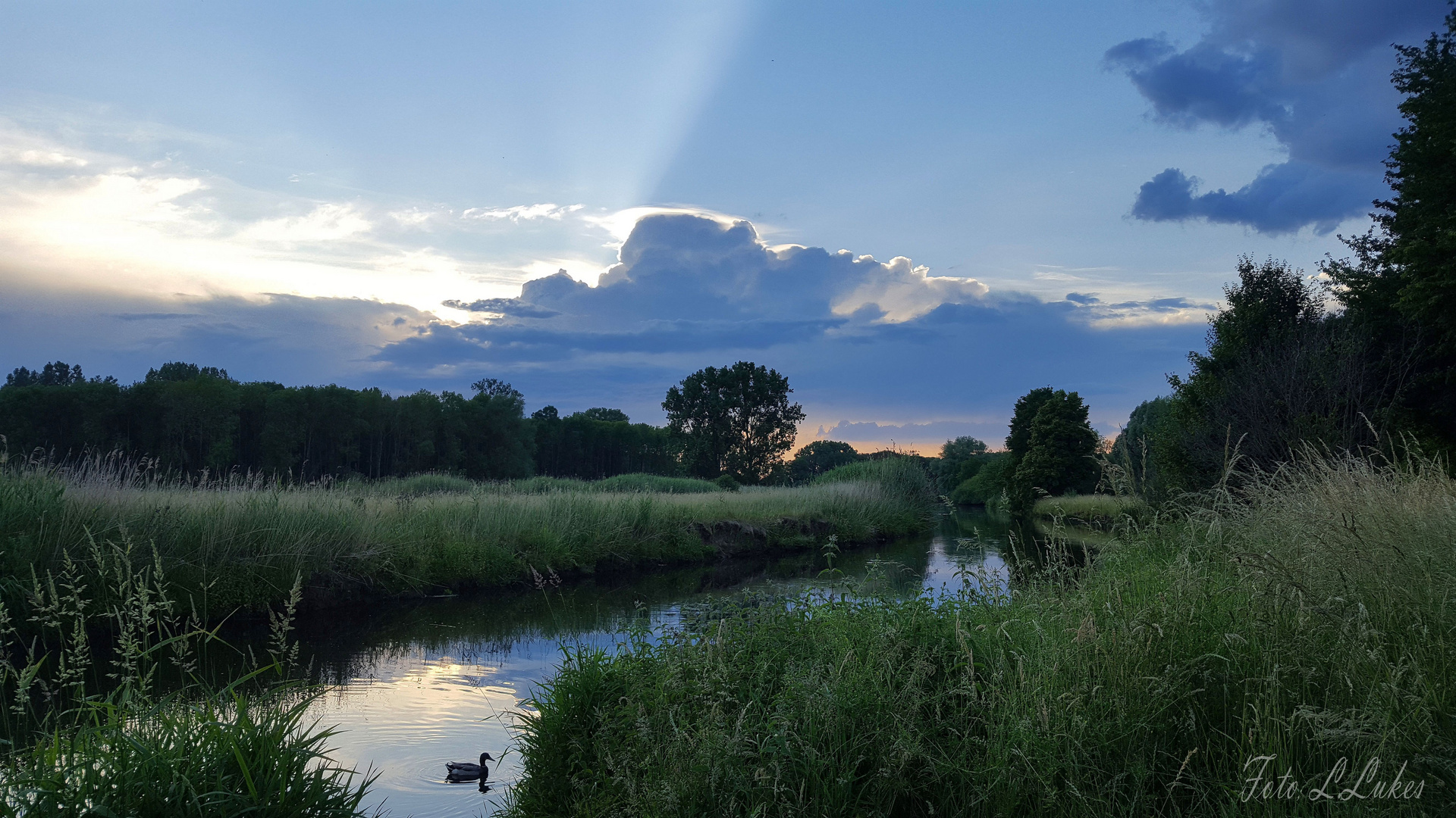 Niers bei Mariendonk