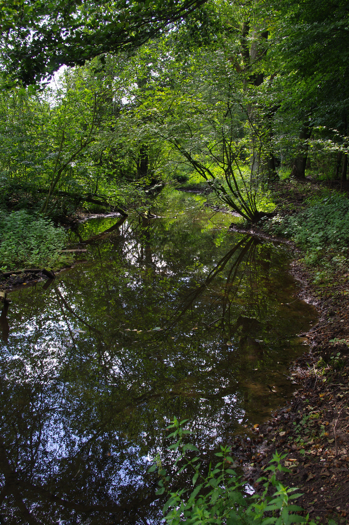 Niers bei Schloß Rheydt