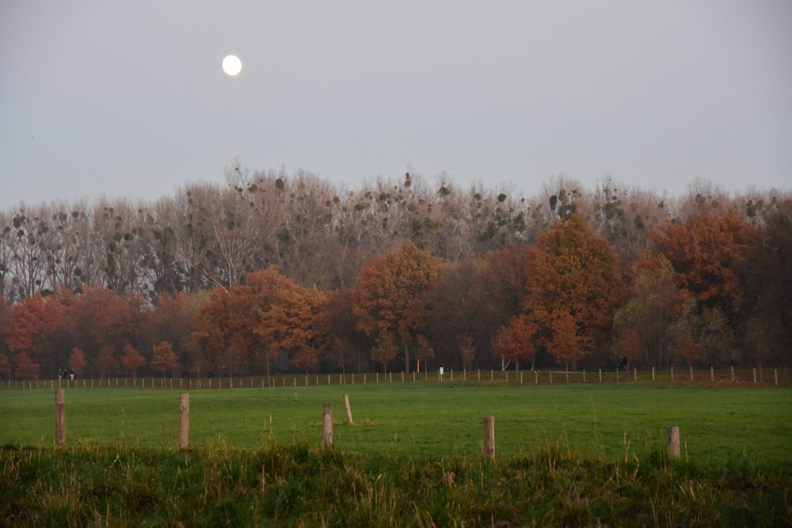 Niers Frühes Mondlicht