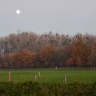 Niers Frühes Mondlicht