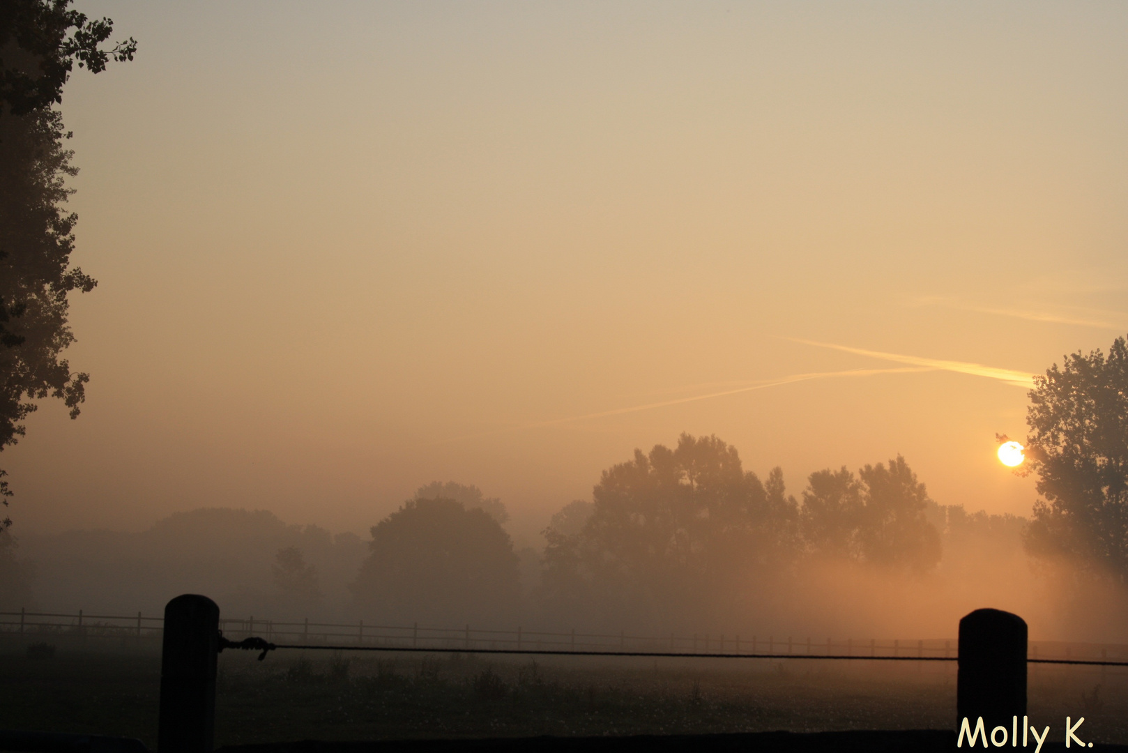 Niers im Morgentau