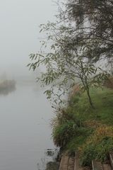 Niers im Nebel