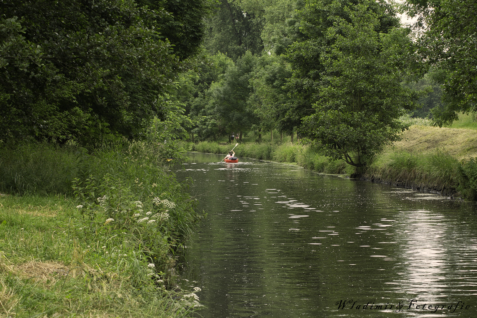 Niers in Sommer