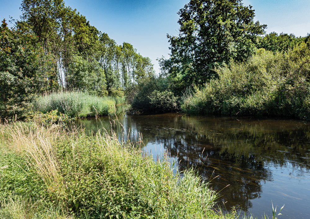 Niers trifft Nette_ 20200623-15-19_DSC1883-056