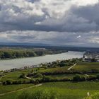 Nierstein am Rhein bei Mainz