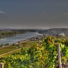 Nierstein am Rhein - Binnenschiffer