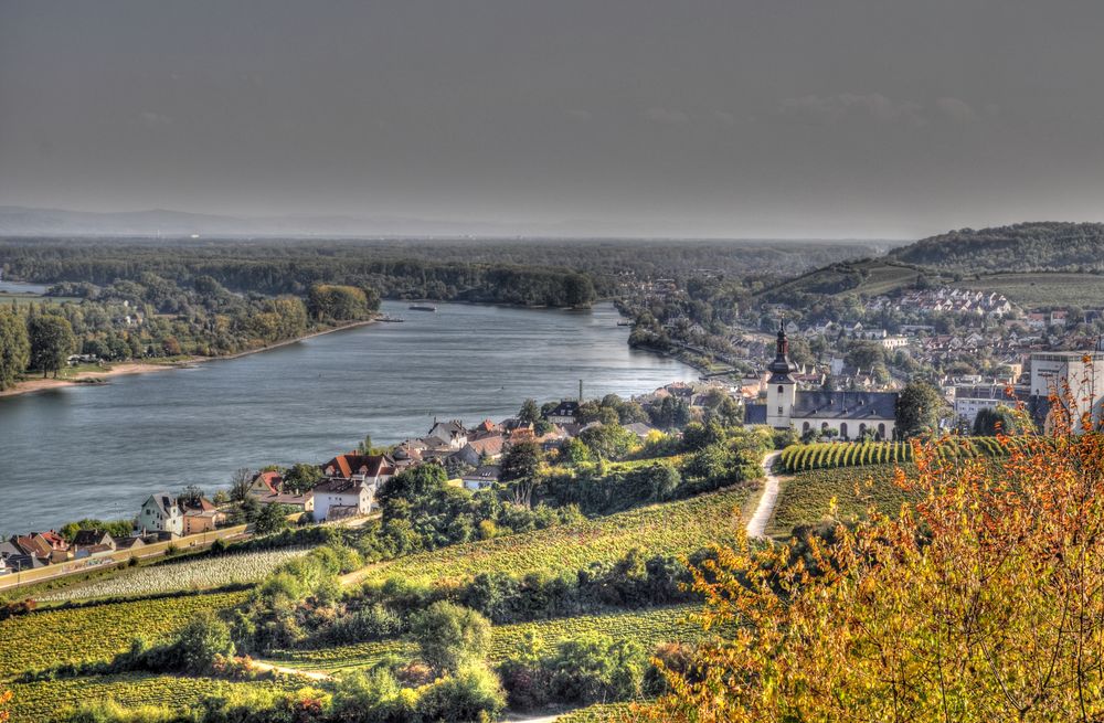 Nierstein am Rhein - Blick auf den Rhein