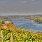 Nierstein am Rhein - Blick nach Frankfurt