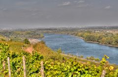 Nierstein am Rhein - Blick nach Frankfurt