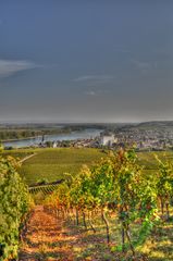 Nierstein am Rhein - Blick Vom Rieslinghöhenweg