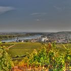 Nierstein am Rhein - Blick Vom Rieslinghöhenweg