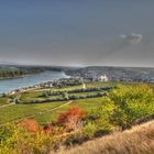 Nierstein am Rhein - Blick von der schönen Aussicht