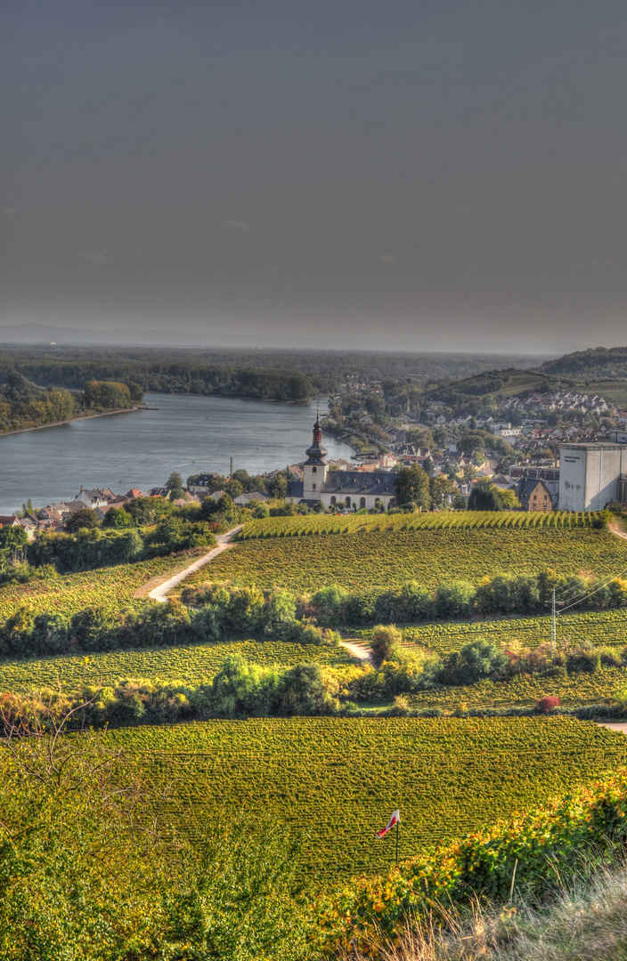 Nierstein am Rhein