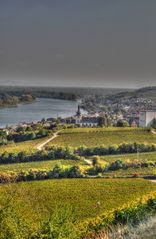 Nierstein am Rhein