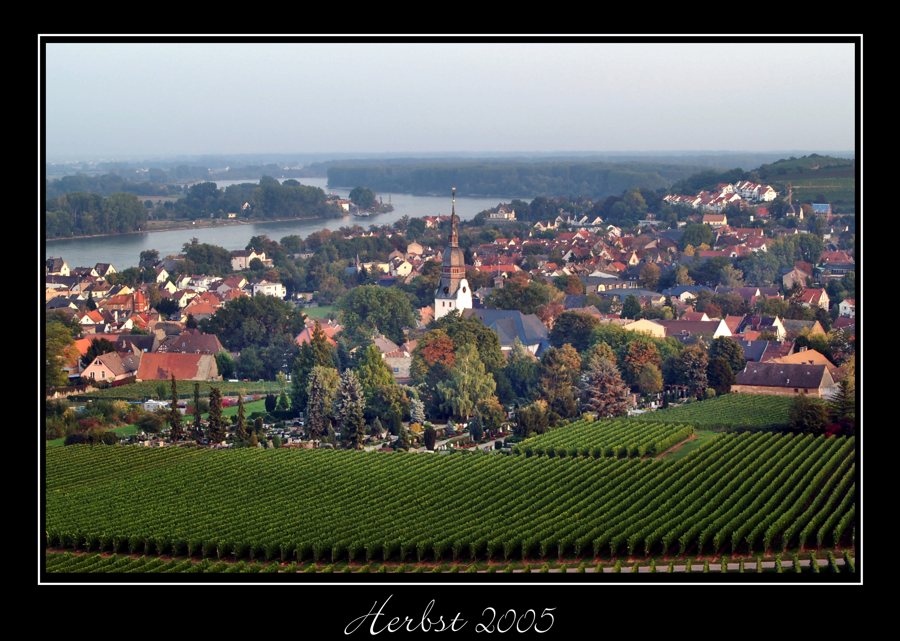 Nierstein im Herbst 2005