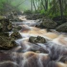 Nieselregen