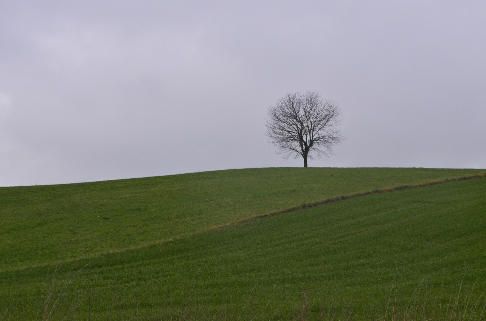 Nieselwetter und einsam.......