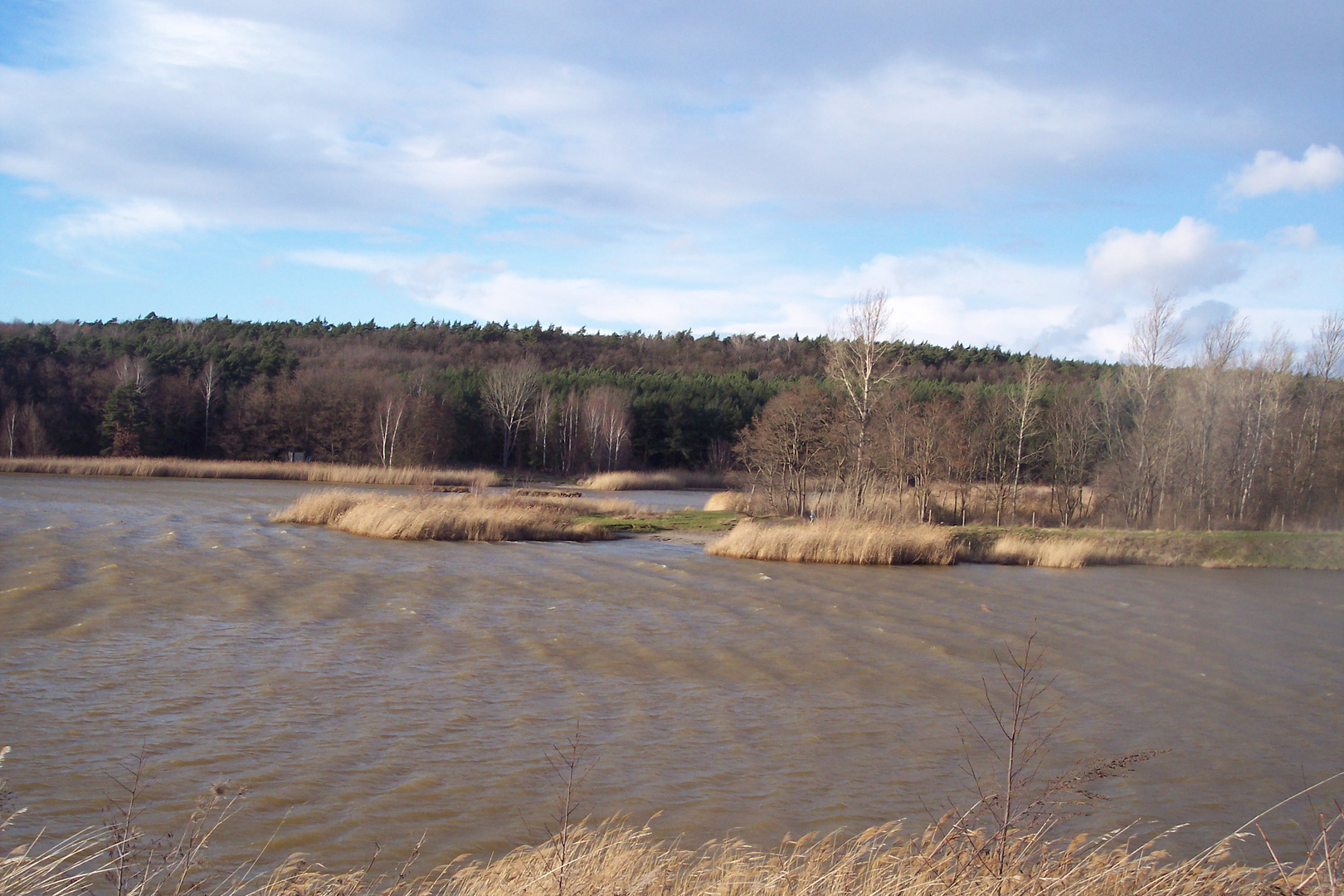 Nietleben - Stürmischer Heidesee