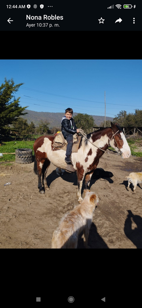 Nieto Santiago arriba de un caballo