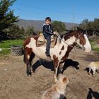 Nieto Santiago arriba de un caballo