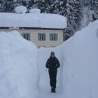 Nietzsche Haus versinkt allmählich