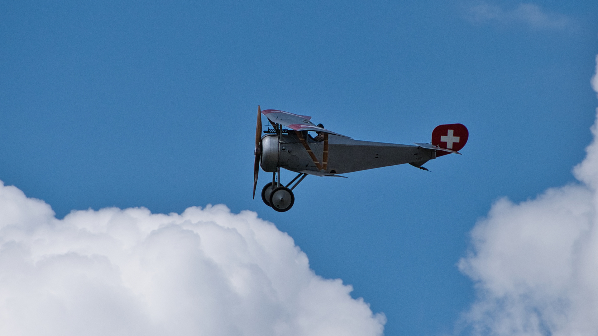 Nieuport 23 C-1 (Bild II)