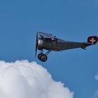 Nieuport 23 C-1 (Bild II)