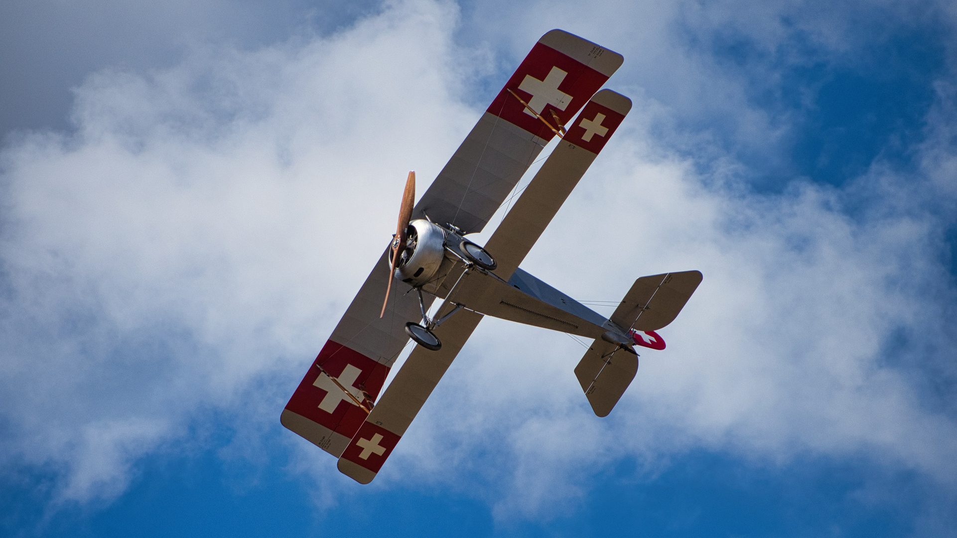 Nieuport 23 C-1 (Bild III)