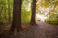 Nieuw Amelisweerd - Markiezen Bos - 02