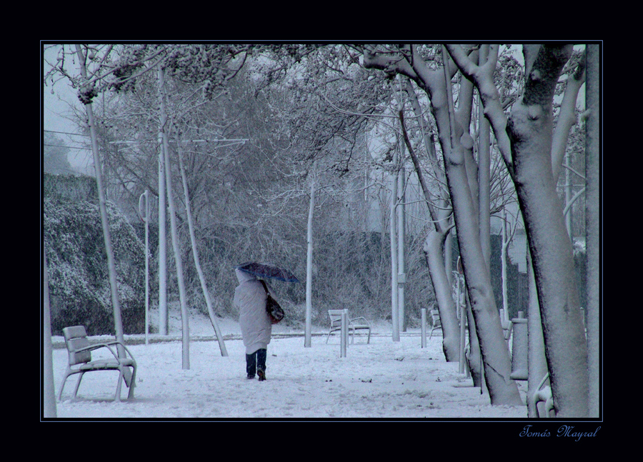 Nieva en Barna-VI