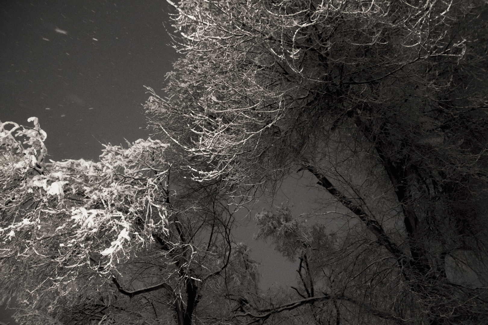 Nieva en la noche