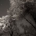 Nieva en la noche