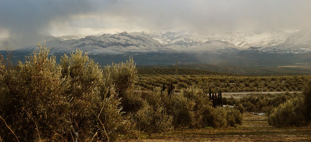 Nieva en Mágina