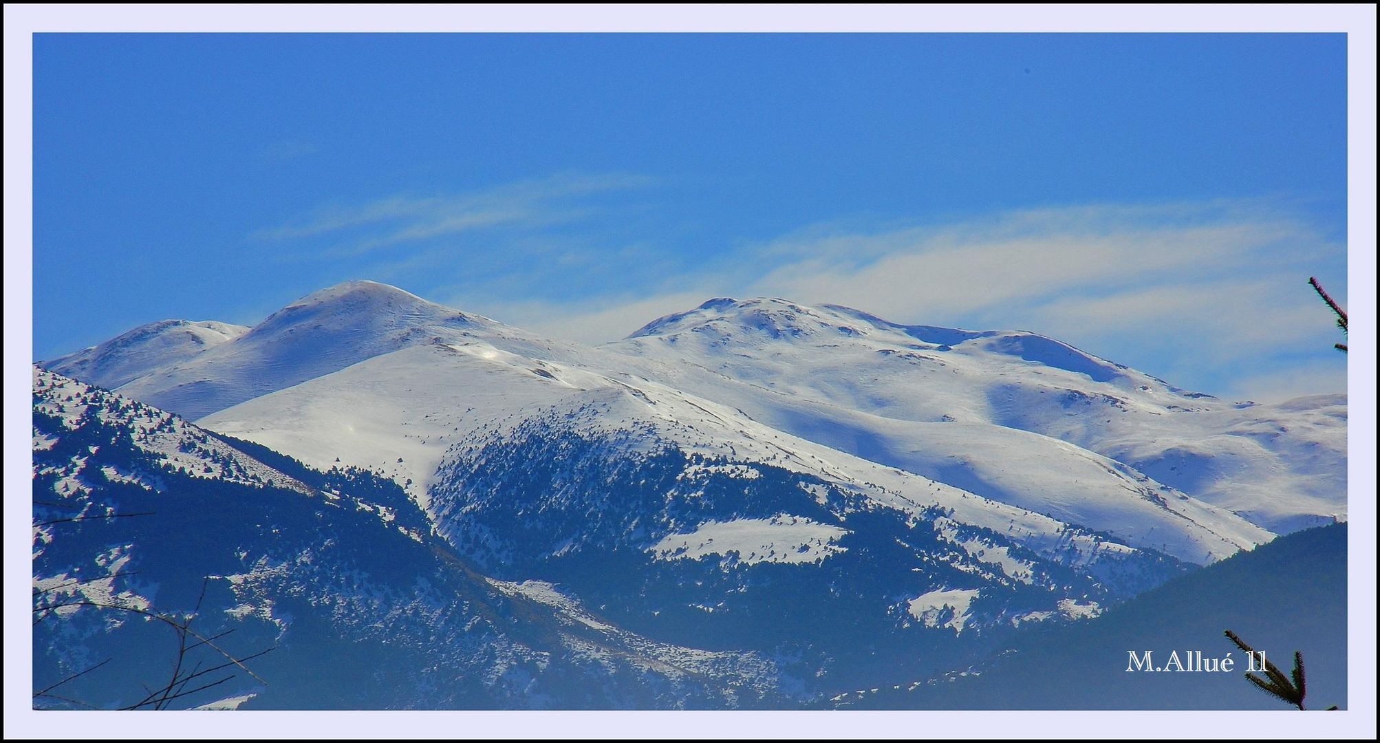 Nieve