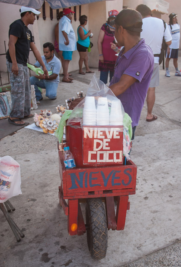 Nieve de coco