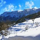 Nieve de primavera