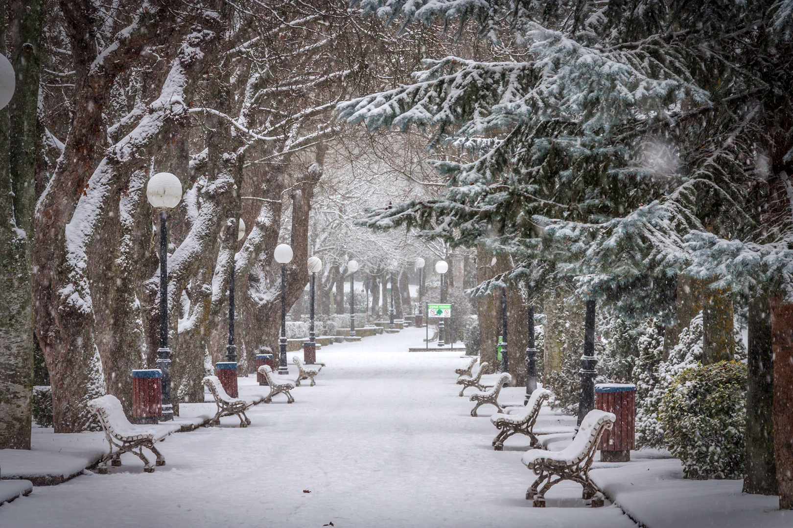 Nieve en el parque_3480