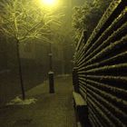 NIEVE EN LA NOCHE