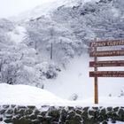 Nieve en la Patagonia-Argentina