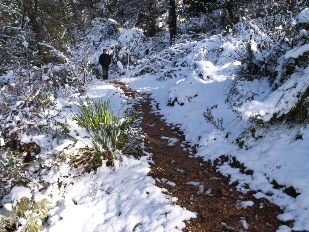 Nieve en l'Ofre