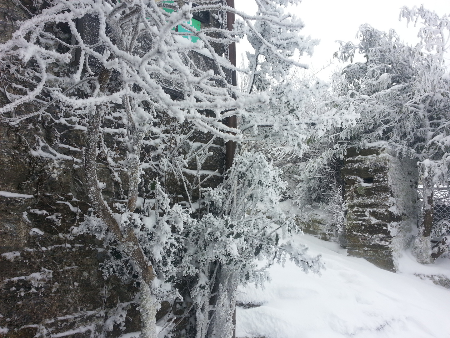 Nieve en O Cebreiro